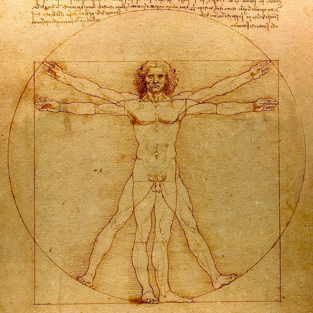 レオナルド・ダ・ヴィンチのウィトルウィウス的人体図